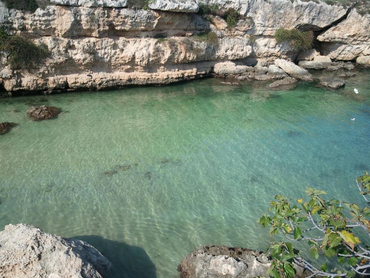Terrazza Dolce Vista Lägenhet Monopoli Exteriör bild